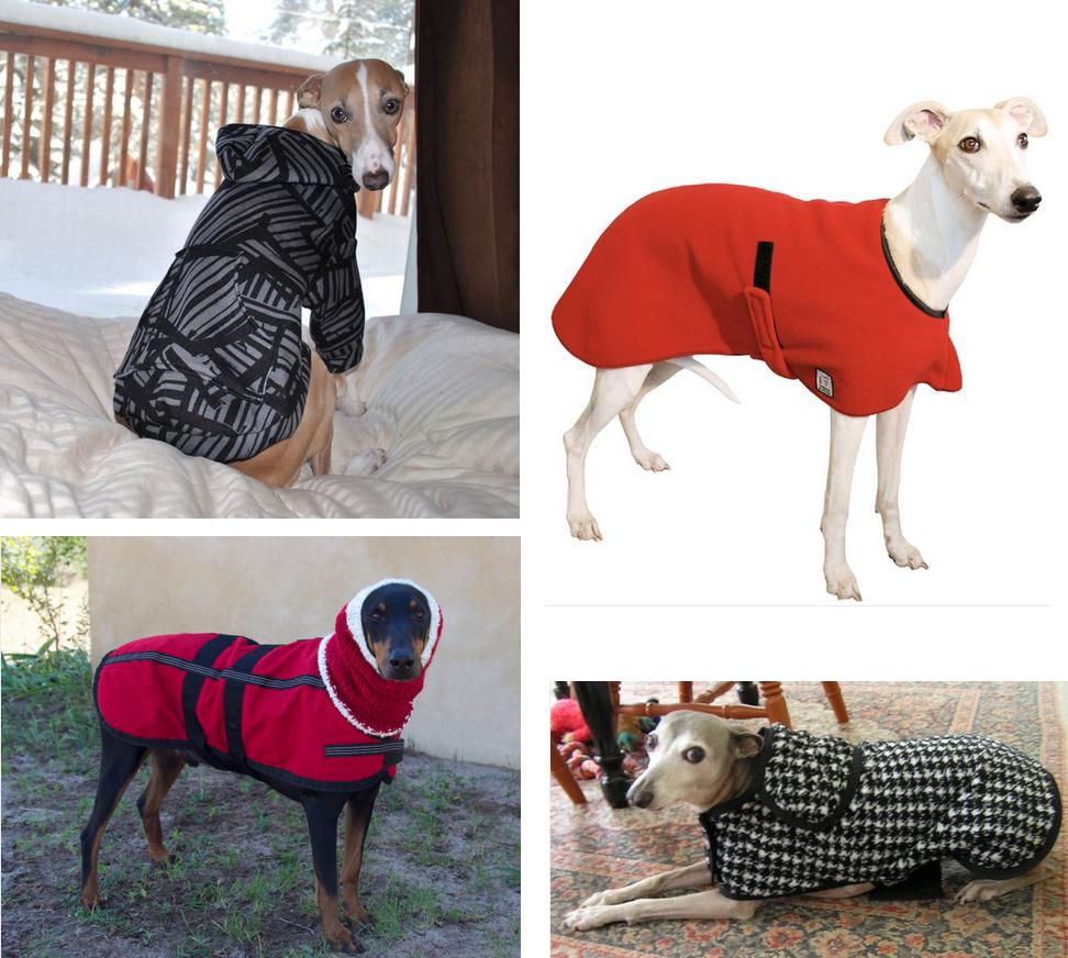 Dogs We Luv! Fall/Winter Fashion For Big and Small Dogs