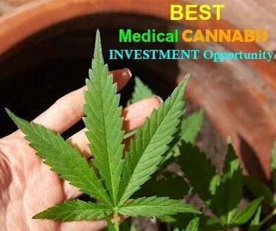medical cannabis investment