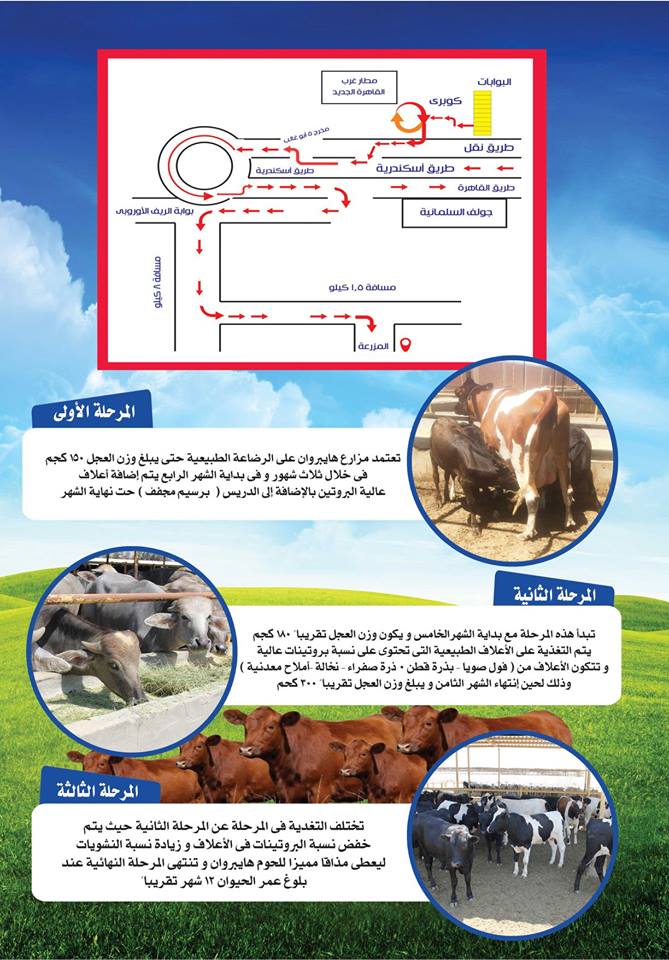 اسعار اضاحى العيد 2018 فى هايبر وان حتى 25 اغسطس 2018 اسعار اضاحى العيد 2018 فى هايبر وان حتى 25 اغسطس 2018