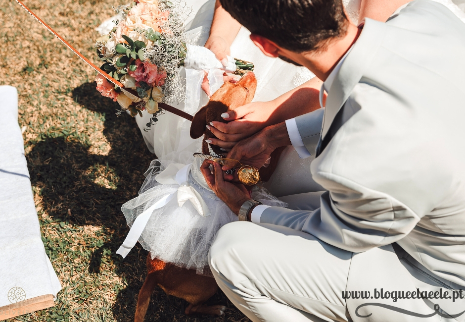 A cadela entregou as alianças menina das alianças + cadela a entregar as alianças + casamento tema Harry Potter + blogue ela e ele + ele e ela + pedro e telma + organização do casamento + casório + blogue de casal