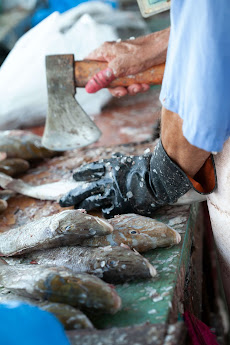 Bacteria in seafood and infections