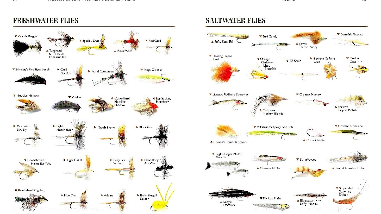 Types Of Fish Bait Fish Choices