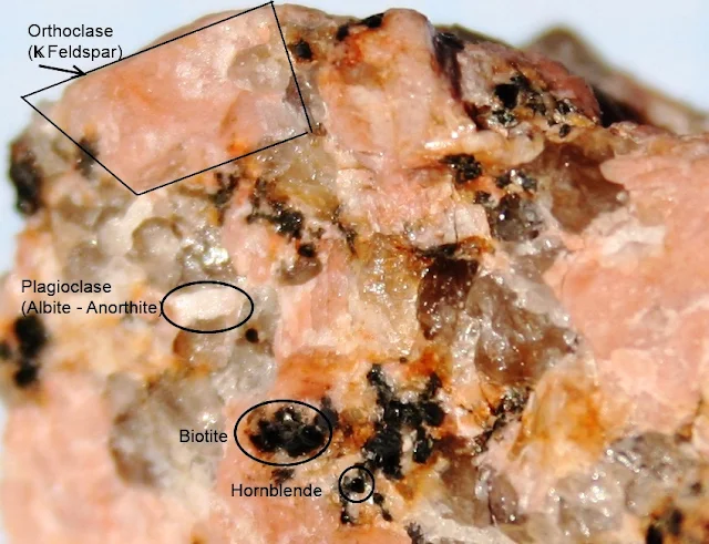 Origins of Cu-Pb-Zn-bearing and W-bearing Granites