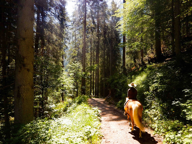 esperienze uniche da regalare in Trentino