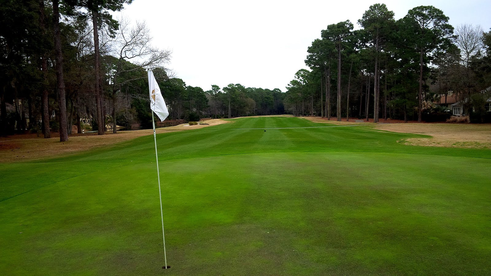 Golden Bear Golf Club Hilton Head Gold Choices Golden Bear Golf Club Hilton Head Gold Choices