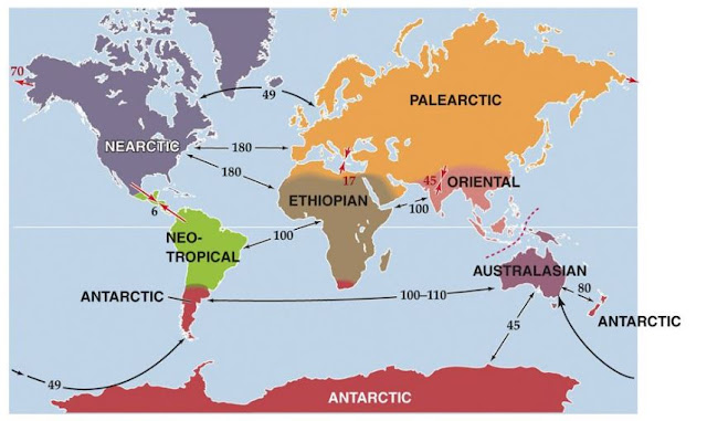 Sebaran Keanekaragaman Hayati di Permukaan Bumi, Biogeografi - Dunia