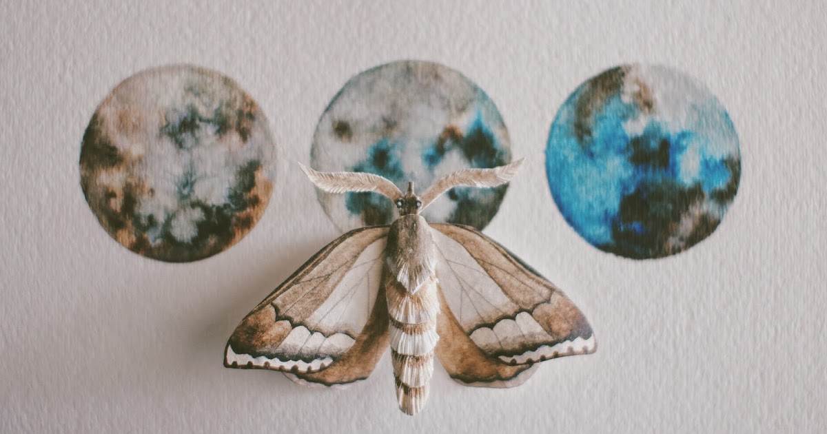 Little Projectiles Paper Moths