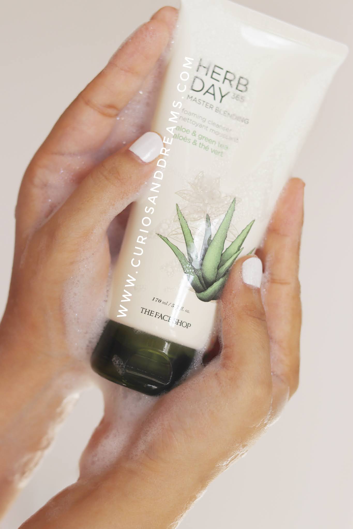 The Face Shop Herb Day Foaming Cleanser Aloe & Green Tea Curios and