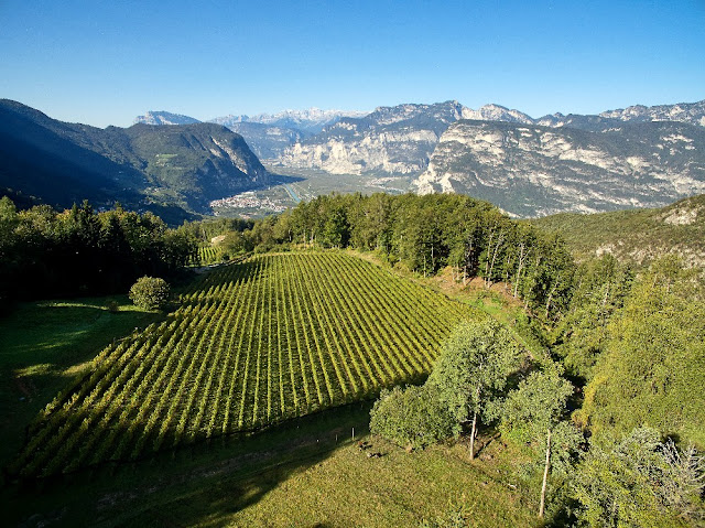 strada del vino alto adige weinstrasse