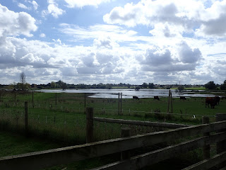 South Norfolk Dickleburgh Frenze Beck Birds And Beer