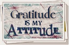 Gratitude