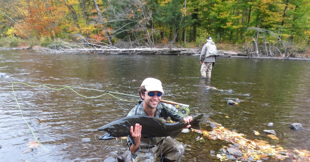 Wild Apples Fly Fishing King Salmon on the Fly Salmon River, Altmar