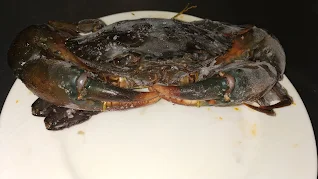 Crab in plate food recipe Healthy Dinner Recipe