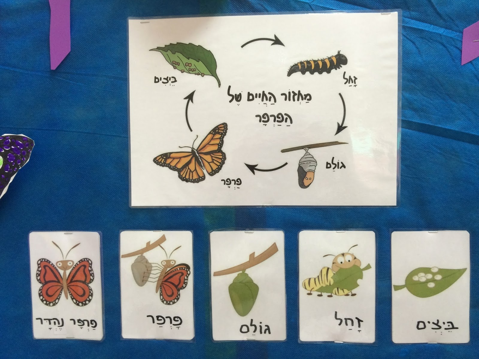 אומנות יצירה ואפרוחים