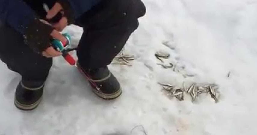 Pengertian Dan Contoh Peristiwa Anomali Air