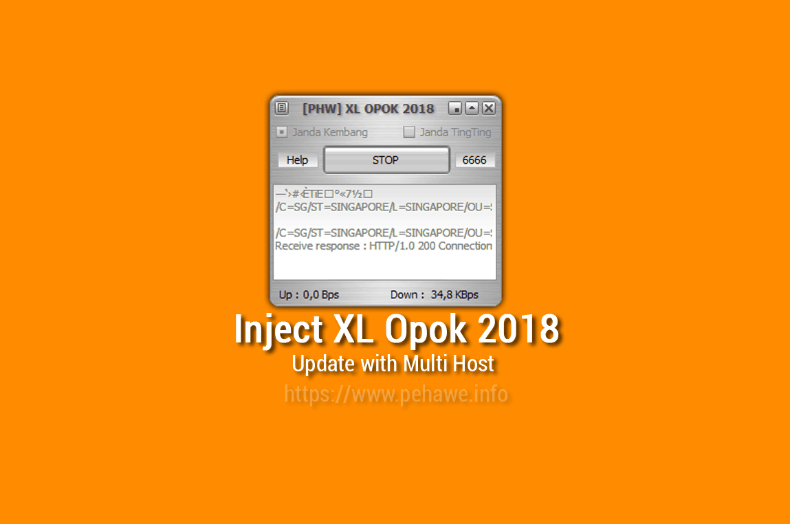 Inject XL Opok Multi Mode SSL Work 2018