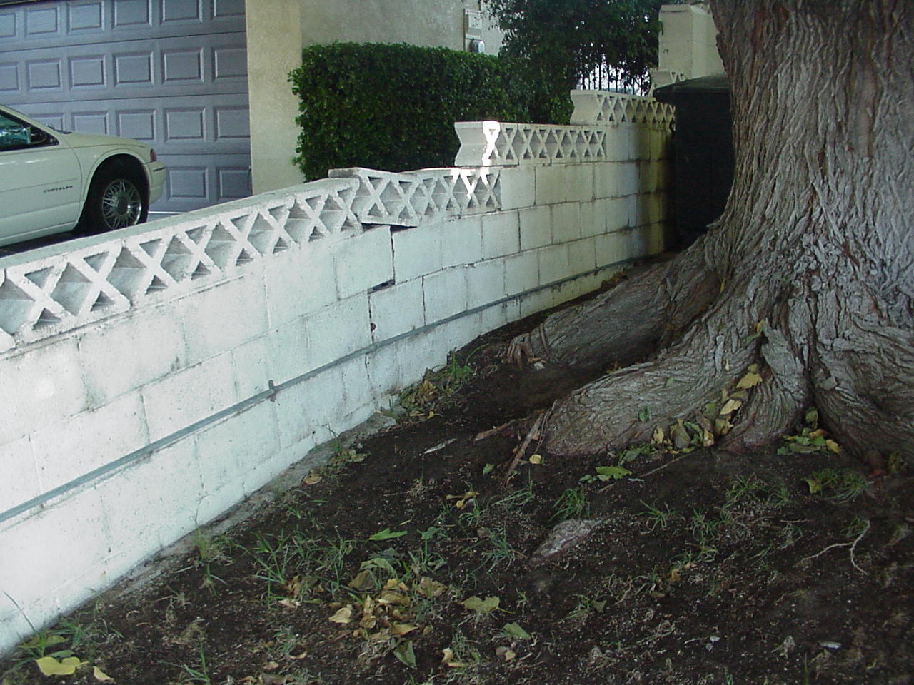 Xtremehorticulture of the Desert How to Water Plants in the Desert