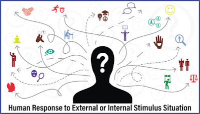 Human Behavior What is human behavior? Classification of human behavior