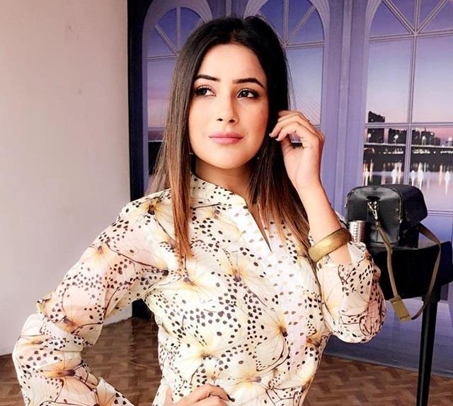 Shehnaaz Gill Hairstyles Star Hairstyles