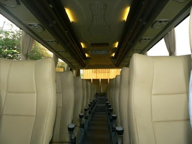 Interior  bus 2011