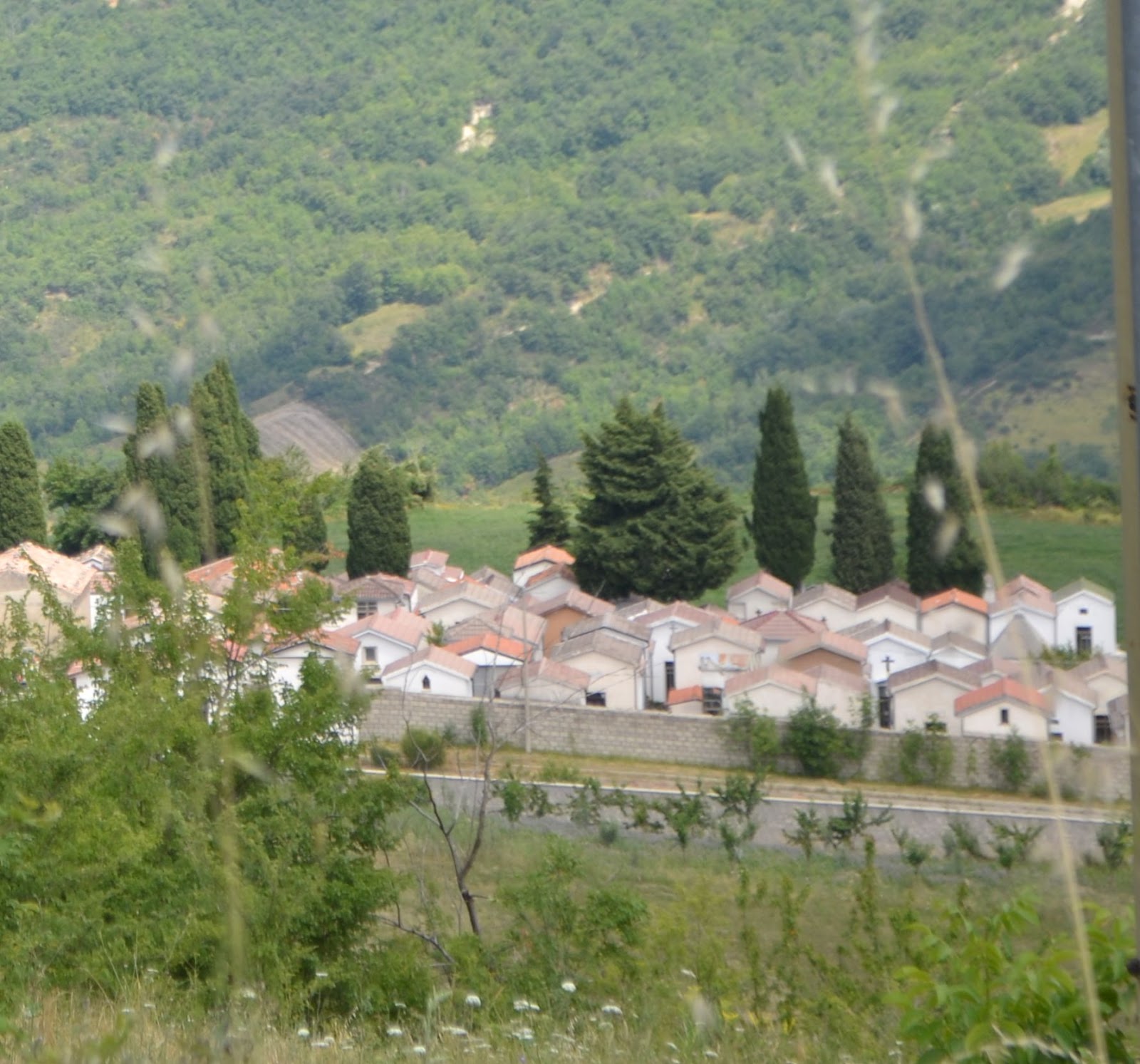 As viagens de Chico e Zezé MONTAZZOLI 1