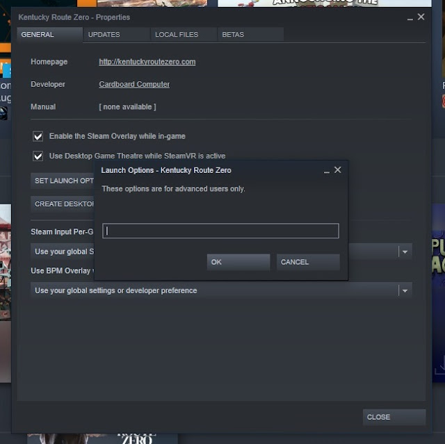Screenshot of Set Launch Options dialog for Kentucky Route Zero on Steam