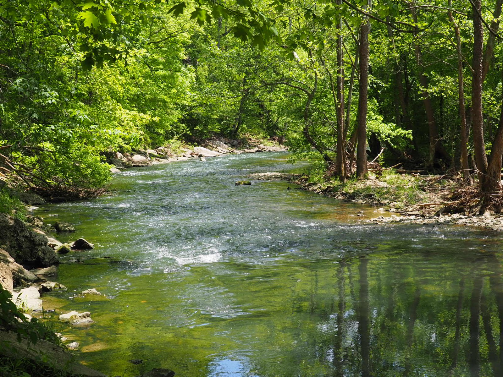 Bloomington, IN Cedar Bluff Nature Preserve (halfway up) Explore