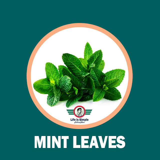 Uses and Benefits of Mint Leaves