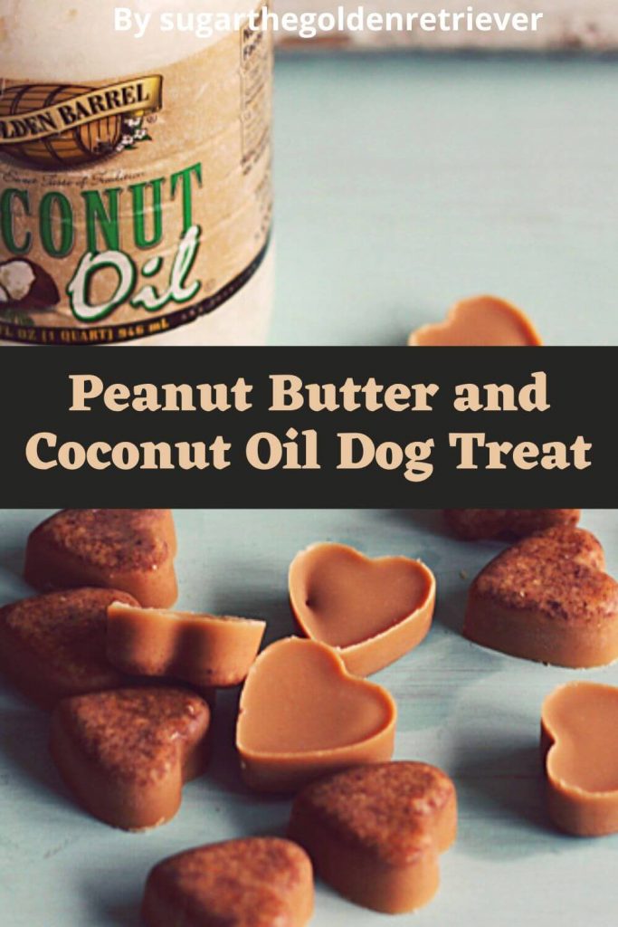 Top 10 Homemade Grain Free Dog Treat Recipes