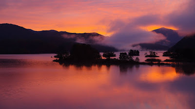 Clouds, pink sunset, island, dusk, trees, lake Clouds, pink sunset, island, dusk, trees, lake