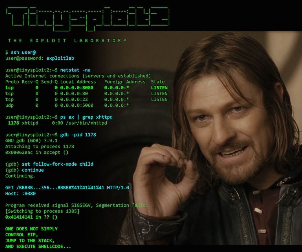 The Exploit Laboratory