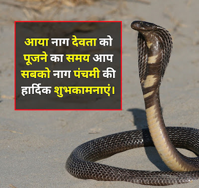 Nag Panchami Shayari for Image