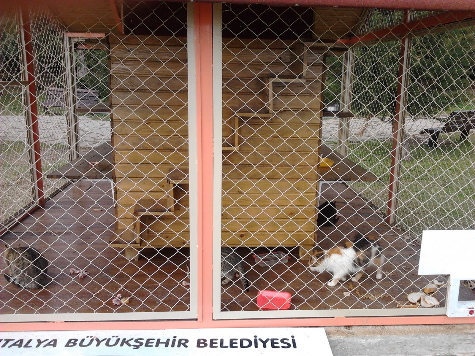 Neşeli İşler DükkanıAntalya Kedi Evi&hellip;
