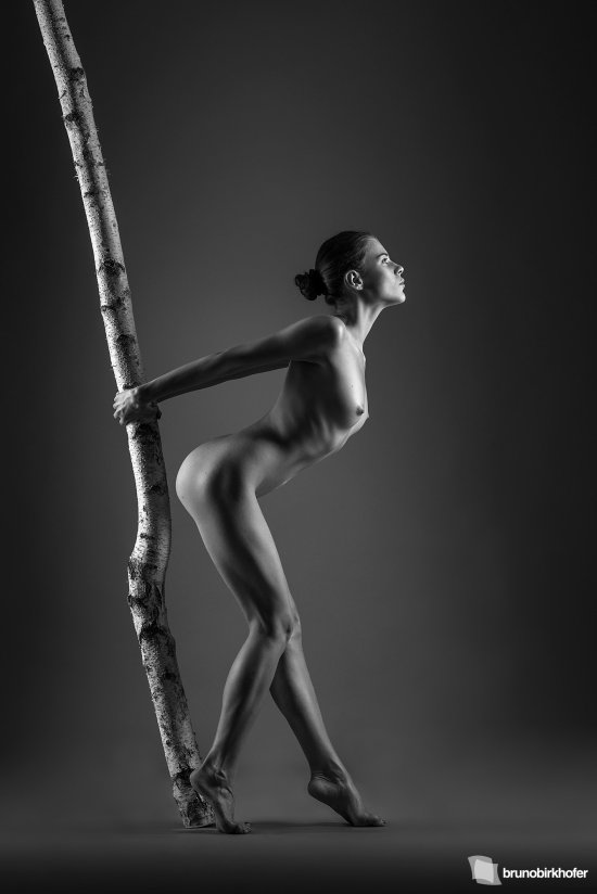 A fotografia artística com mulheres nuas de Bruno Birkhofer Bruno Birkhofer 500px fotografia mulheres modelos sensuais nudez provocante arte