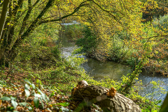 WesterwaldSteig 13. Etappe Flammersfeld – Horhausen | Klettersteig Hölderstein 04