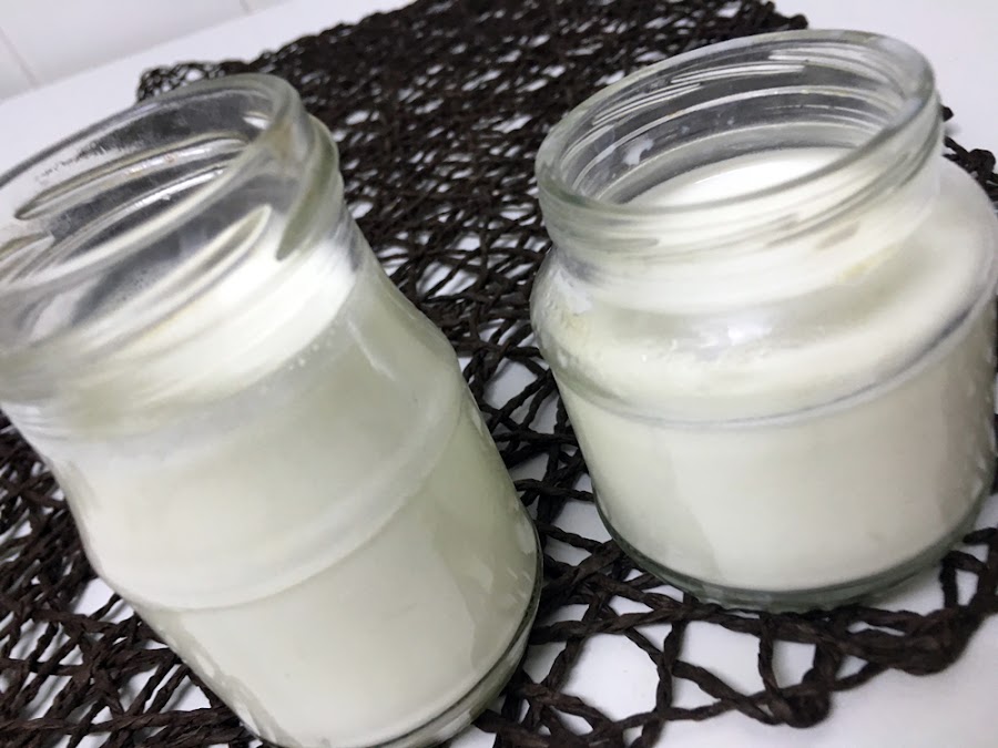 Yogur natural casero