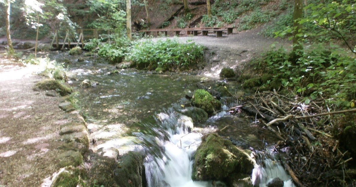 Die Schwäbische Alb und ihre Natur Der Ursprung des Weißen Kochers im