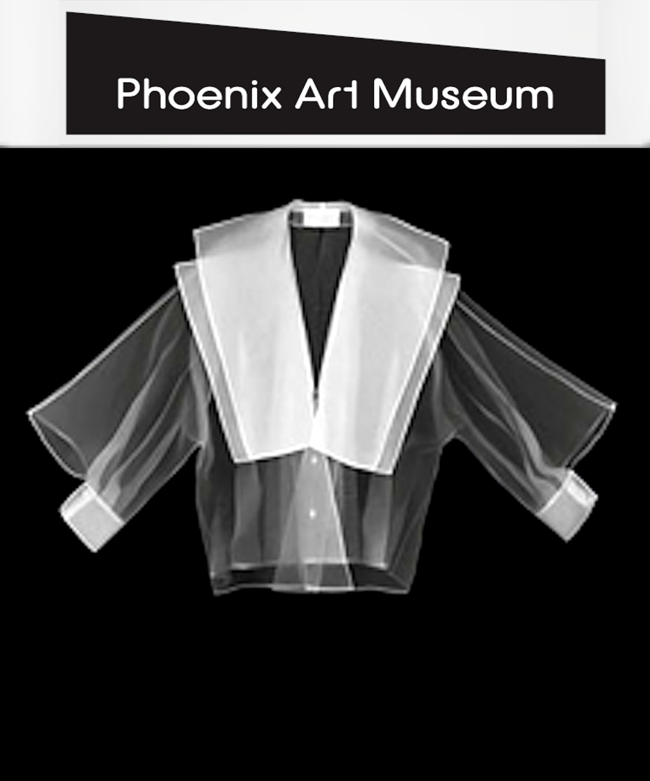 The Phoenix ART Museum