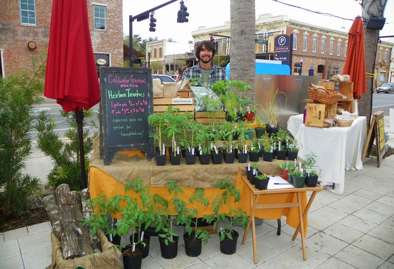 The Market at Al Fresco Farmers Market