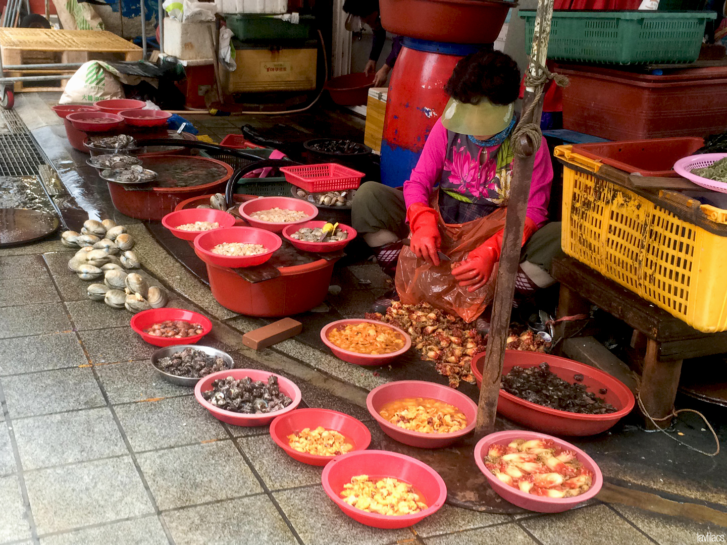 Seoul, Korea - Summer Study Abroad 2014 - Busan Jagalchi Fish Market