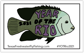 Year of the Rio, YOTRio2021, YOTRio, Rio Grande Cichlid, Rio Grande Cichlid on the fly, Fly fishing for Rio Grande Cichlid, Texas Cichlid, Texas Fly Fishing, Fly Fishing Texas