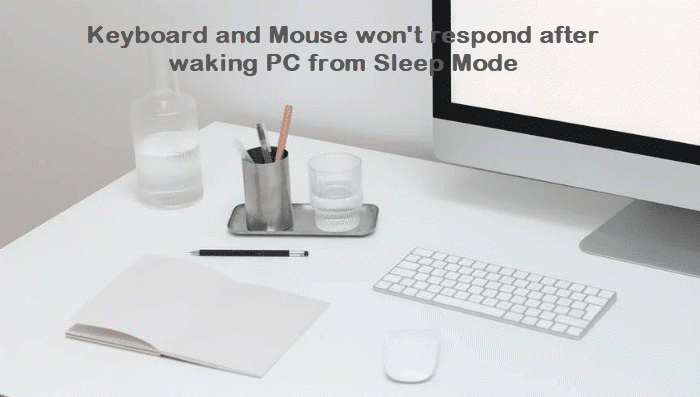 El teclado y el mouse no responden después de activar la PC desde el modo de suspensión