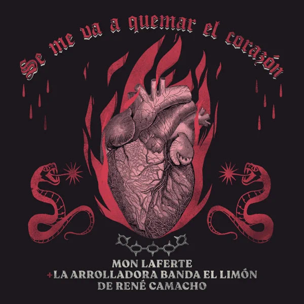 IMAGEN IMAGEN