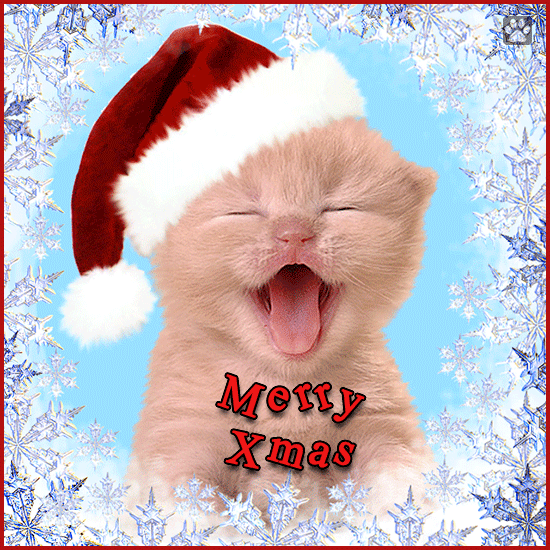 Art Cat GIF • Singing Kitty wishes a 'Merry Catmas' to all Cat ♥ Lovers all over the world! Art Cat GIF • Singing Kitty wishes a 'Merry Catmas' to all Cat ♥ Lovers all over the world!