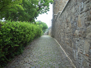 Schattenleben und Rabengeschrey