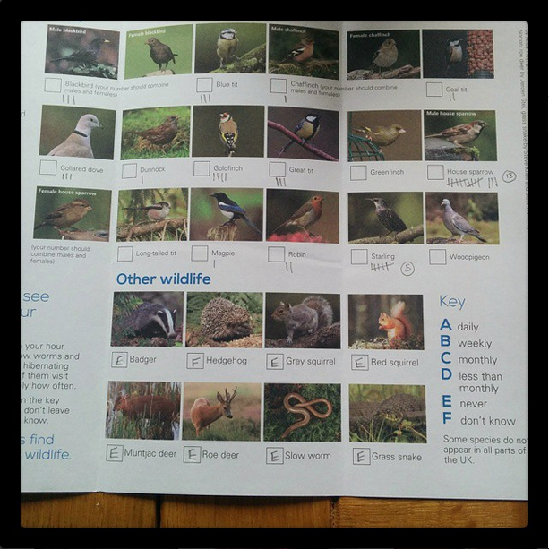 RSPB birdwatch sheet ~ 'growourown.blogspot.com'