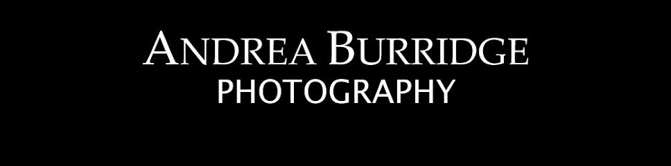 ANDREA BURRIDGE PHOTOGRAPHY