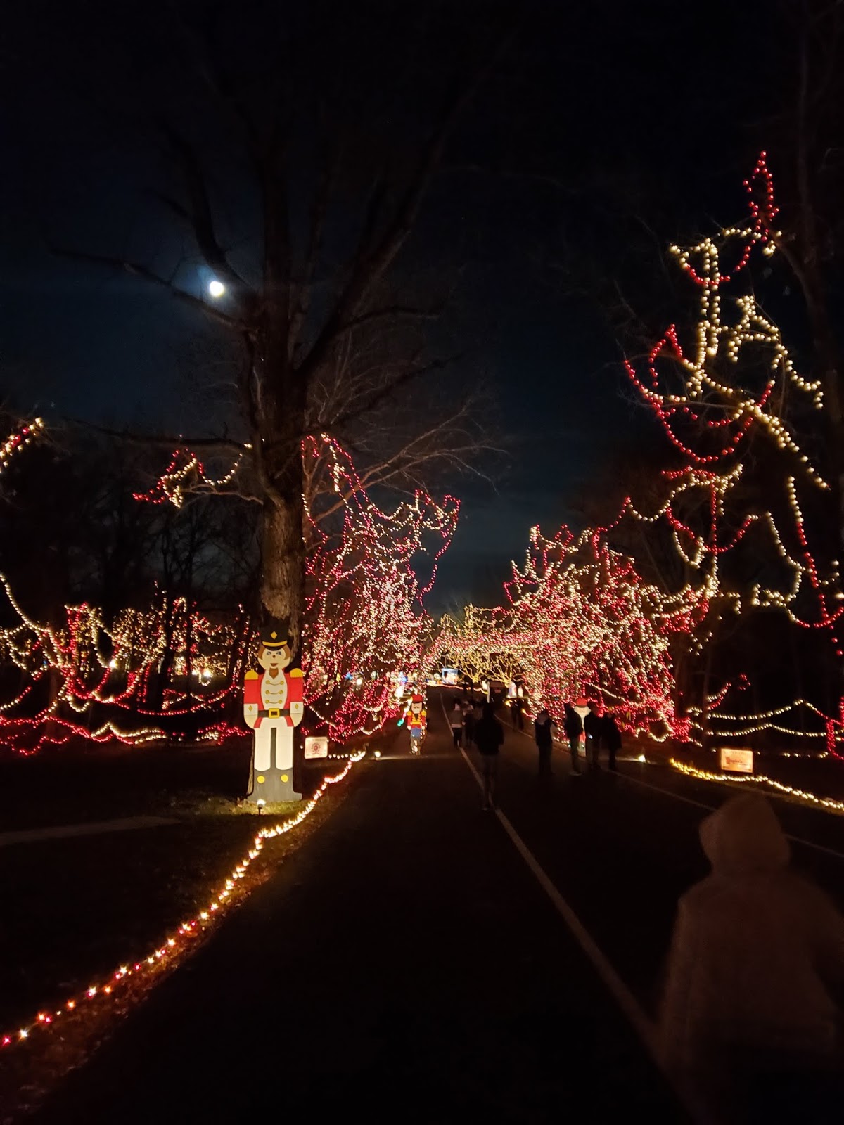 Play St. Louis Celebration of Lights, Ft. Zumwalt Park, O'Fallon