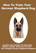 How Good Is Your German Shepherd Dog?
