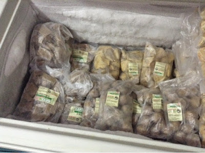 lemari pendingin lemari pendingin